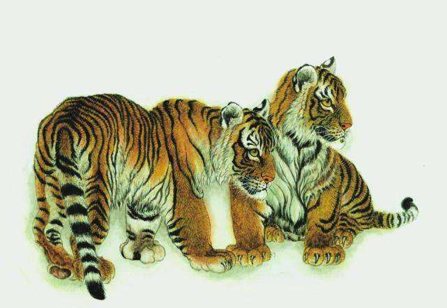 所以属虎的和什么属相最旺财属虎的和什么属相最旺财1  和属虎人合作
