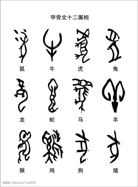 甲骨文十二生肖的写法是什么还要中文翻译.