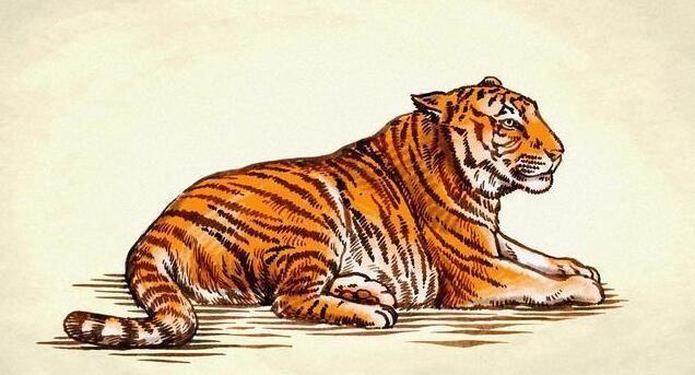 62年属虎的今年多大岁数62年出生到今年多大