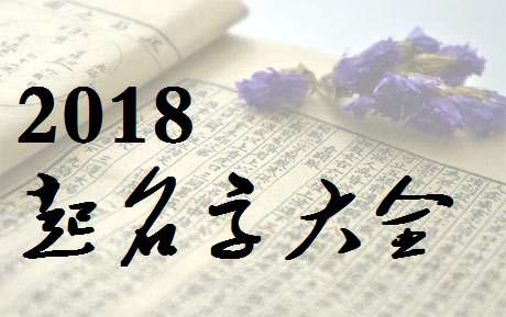 申姓狗宝宝起名取名大全2018