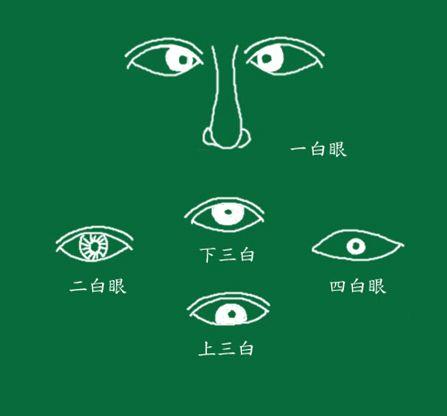 【面相馆】眼睛的类型(三白眼四白眼三角眼车轮眼火