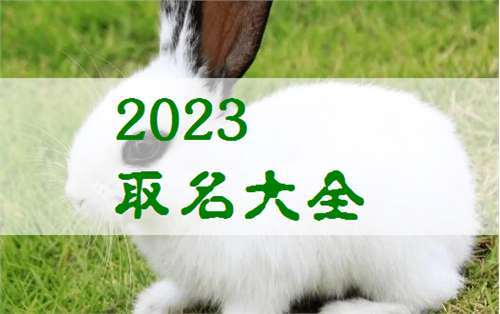 2023属兔男宝宝名字大全
