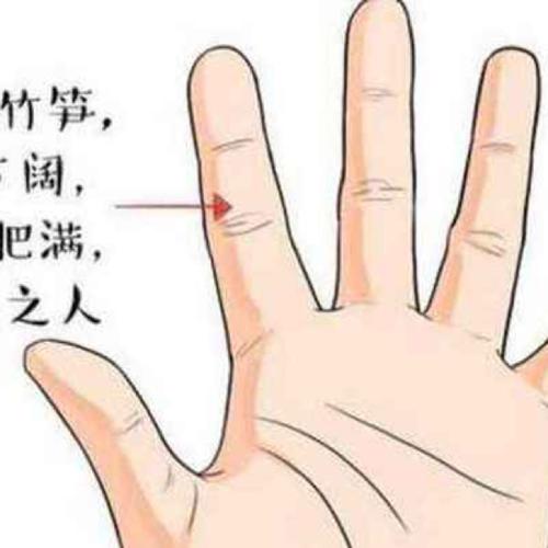 在手相图解大全中我们的手指有五只分别是大拇指食指中指无名指