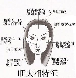 颧骨高的女人面相图解