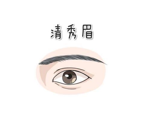 第3种:柳叶眉柳叶眉顾名思义就是眉形弯曲像是柳叶一样的眉毛眉身宽