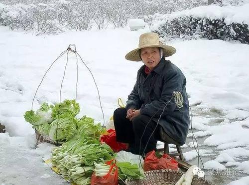 麒麟pt娱乐注册: 在淮滨遇到农村来城里卖菜的老人你会和他砍价吗?