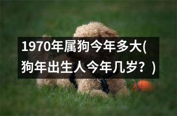 1970年属狗今年多大(狗年出生人今年几岁?