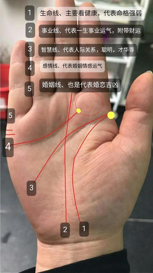 手相:图文解说3分钟自己学会看手相