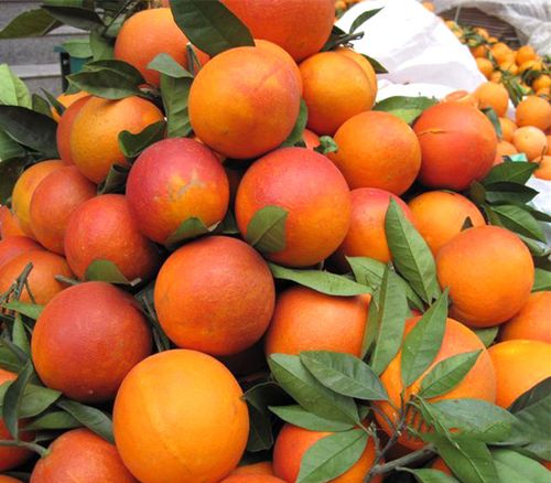 血橙产品 小果10斤装(39元包邮)塔罗科血磴 自贡白庙镇专业种植血橙
