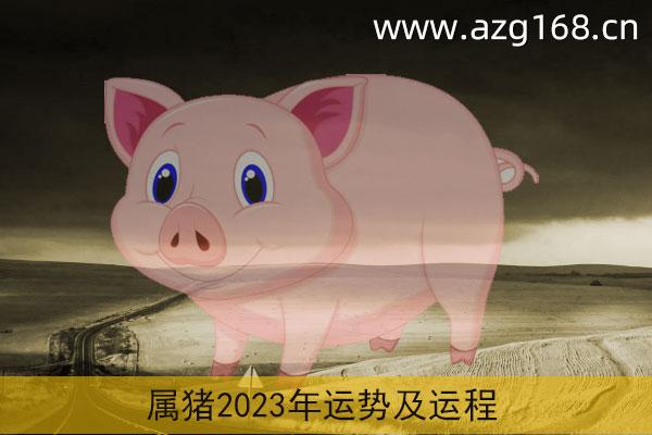 71年猪2023年未来十年的运气