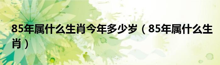 85年属什么生肖今年多少岁85年属什么生肖