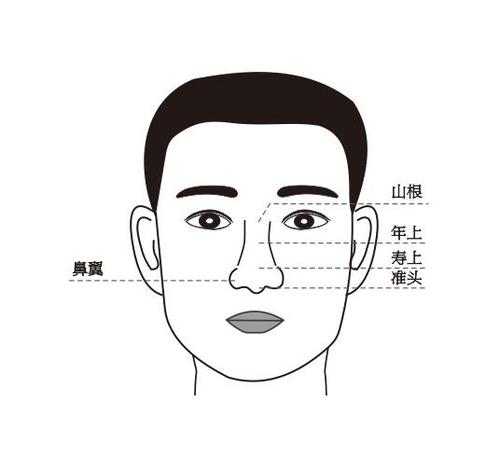 鼻子的流年主要在40~50岁之间为一个人最