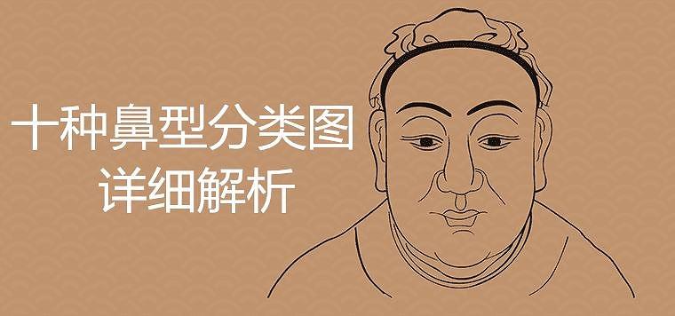 十种鼻型分类图详细解析