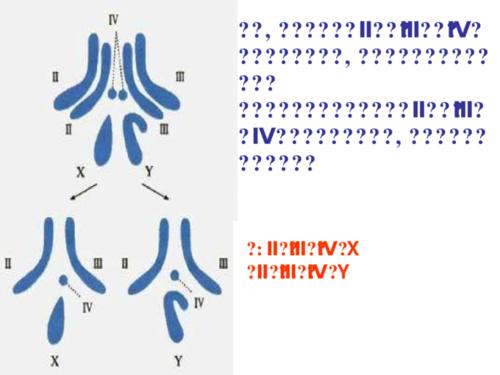 染色体变异的面相
