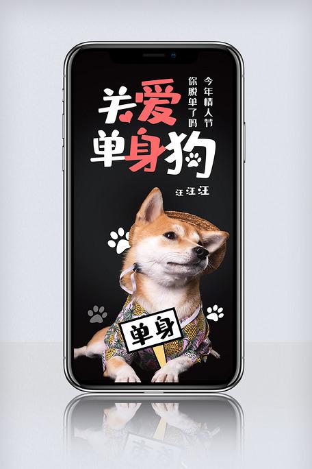 七夕情人节关爱单身狗柴犬脱单手机海报