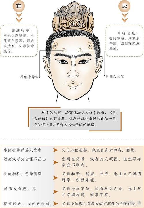 孝顺的人从面部的特征可以得知