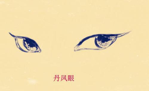 在面相中所谓的丹凤眼就是指眼睛呈现内双或是单眼皮眼尾朝上寓意
