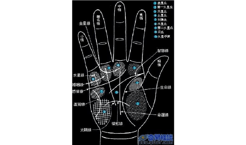 手相图解完整版(超完整多角度图解)_文档下载