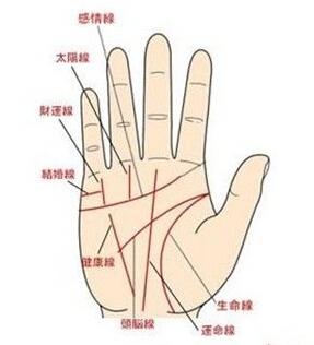 手相图解大全智慧线如何看手相人纹线(二)