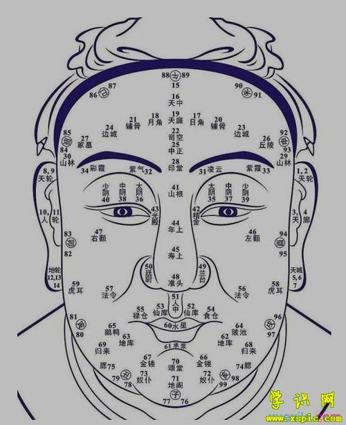 学识网 民俗学 相学 其它相学知识    人们往往对于鼻子看相算命图解