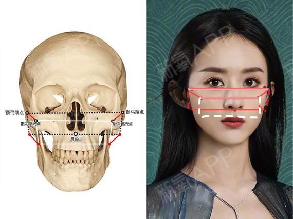 颧骨颧弓是如何影响脸型的?