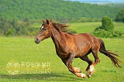 夫妻属马住几层好楼层数字哪些吉利