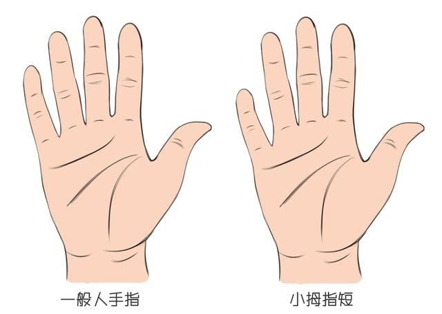 手相风水:看这两根手指就能知道这么多?