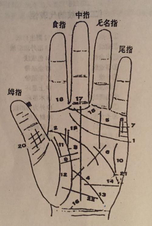 免费看手相