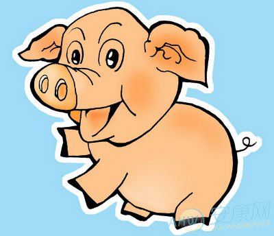 1959年属猪的是什么命1959属猪的人2016年运程大全及破解