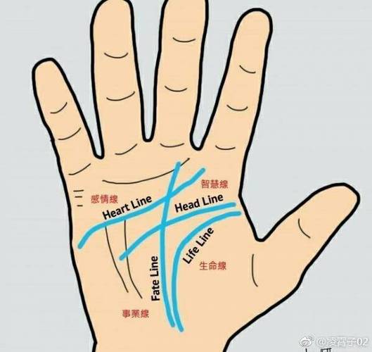 而在观察这些掌纹时要看哪只手有个说法是「男左女右」另一个说法则