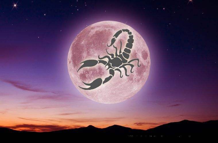 2天蝎座出生日期为新历10月23日11月22日秋天出生的太阳星座在天蝎座