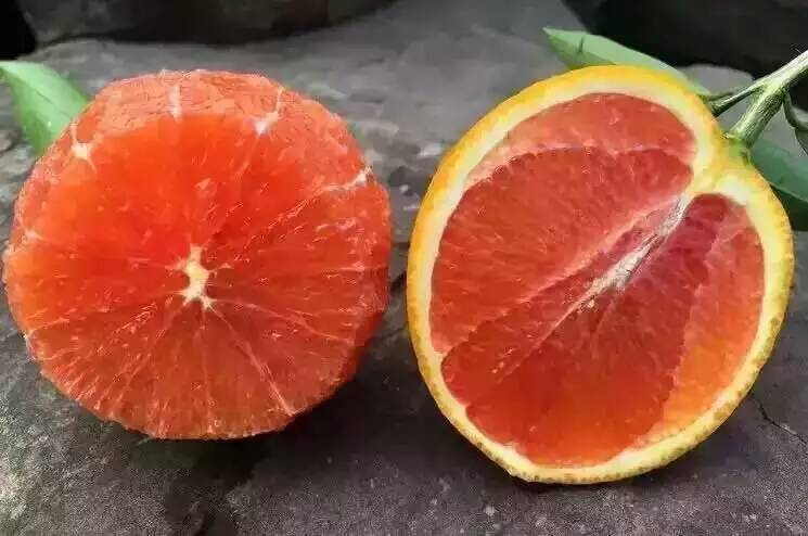 塔罗科血橙 红肉脐橙 赛赣南血橙江西红心橙子