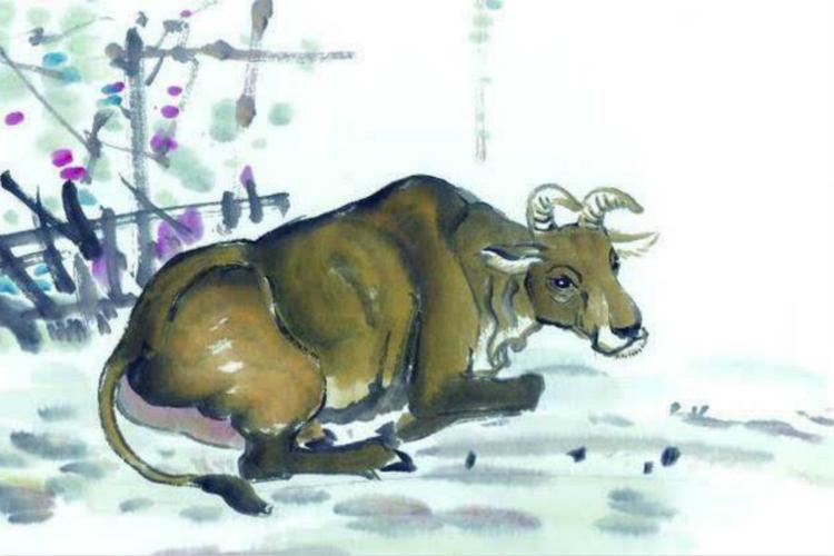生肖牛有勤奋踏实做事谨慎小心的性格特点.