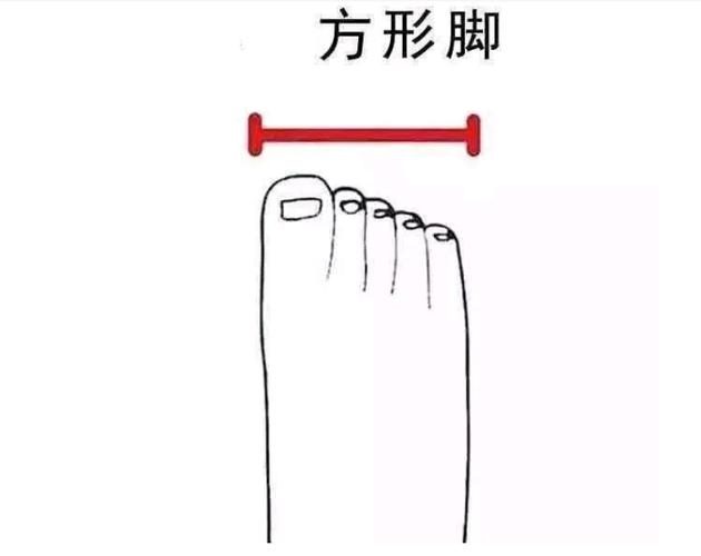 看脚趾算命图解俗话二拇脚趾头长500_232心理学:你的哪一个脚趾头比较