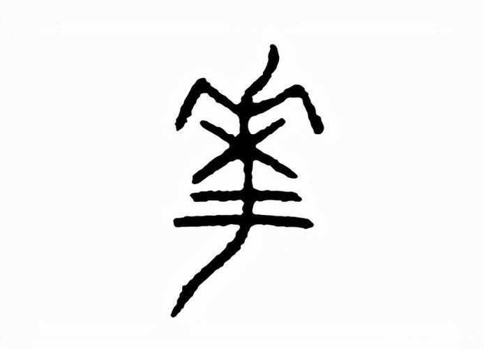 花:汉字的起源与演变(小学一年级语文生字 第32集)
