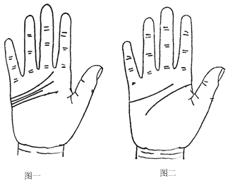 但近代的手相术却把左右手相互比较来看相认为左手代表出生就有的