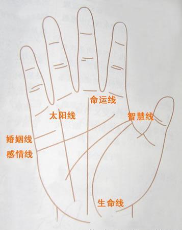 我们知道人的手掌通常会有三条线相比要明显那就是生命线感情线和