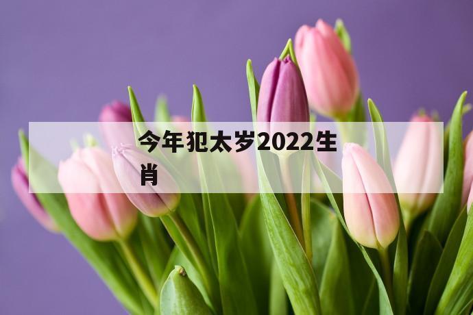 今年犯太岁2022生肖「2022年属虎犯太岁」 第1张