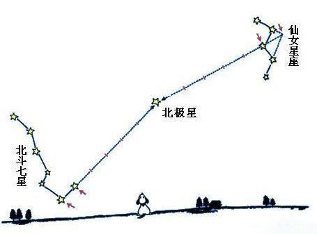 紫微星对人类种族延续有伟大作用 雷天大壮易