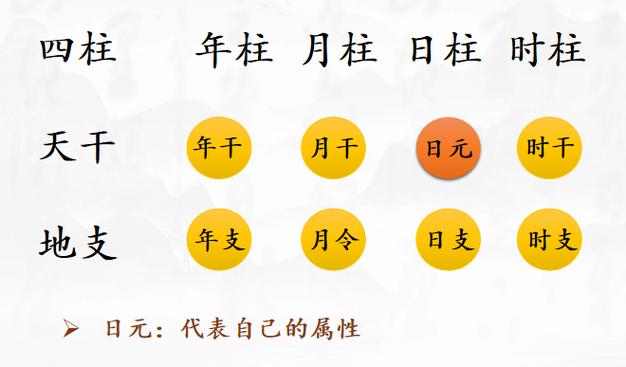 第二步就是要会辨别日元强弱读懂八字