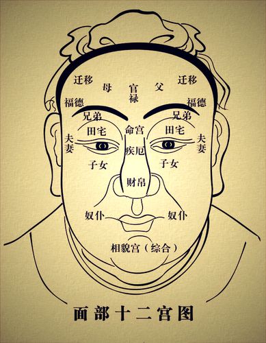 面相.jpg