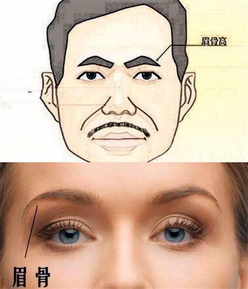 眉骨高低对一个人的面部轮廓太重要了眉骨高者上镜极占优势