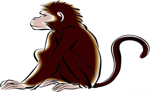 生肖猴运势-生肖属猴的人性格特点-生肖属猴的人-易奇文化