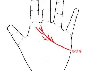 女人感情线的形状五延伸到大拇指的感情线:拥有这种手相的女人事业