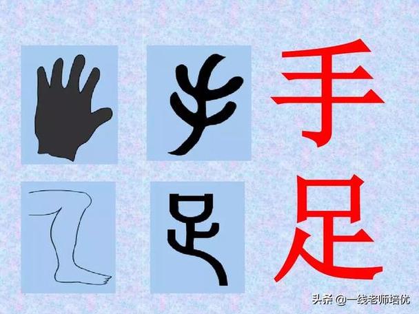 六种造字方法举例六种造字方法举例图片(汉字的造字方法——象形)