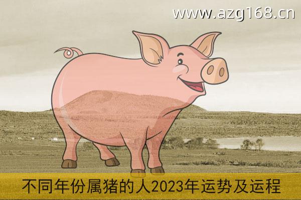 不同年份属猪的人2023年运势及运程