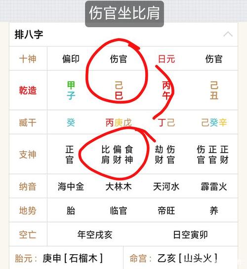 四柱月柱《伤官坐比肩》六亲寓意