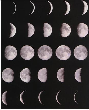 故答案为:月相变化的顺序是:新月——娥眉月——上弦月——凸月
