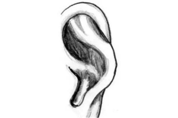耳骨突出是什么面相