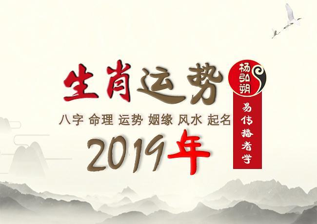 2019运势生肖运势详解